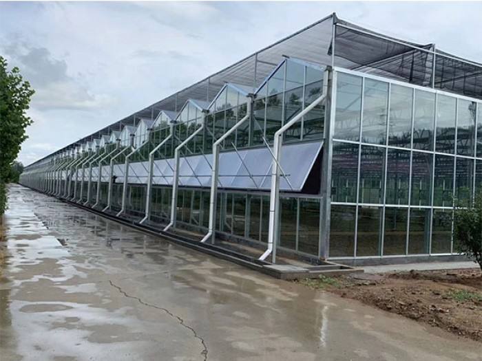 智能温室大棚