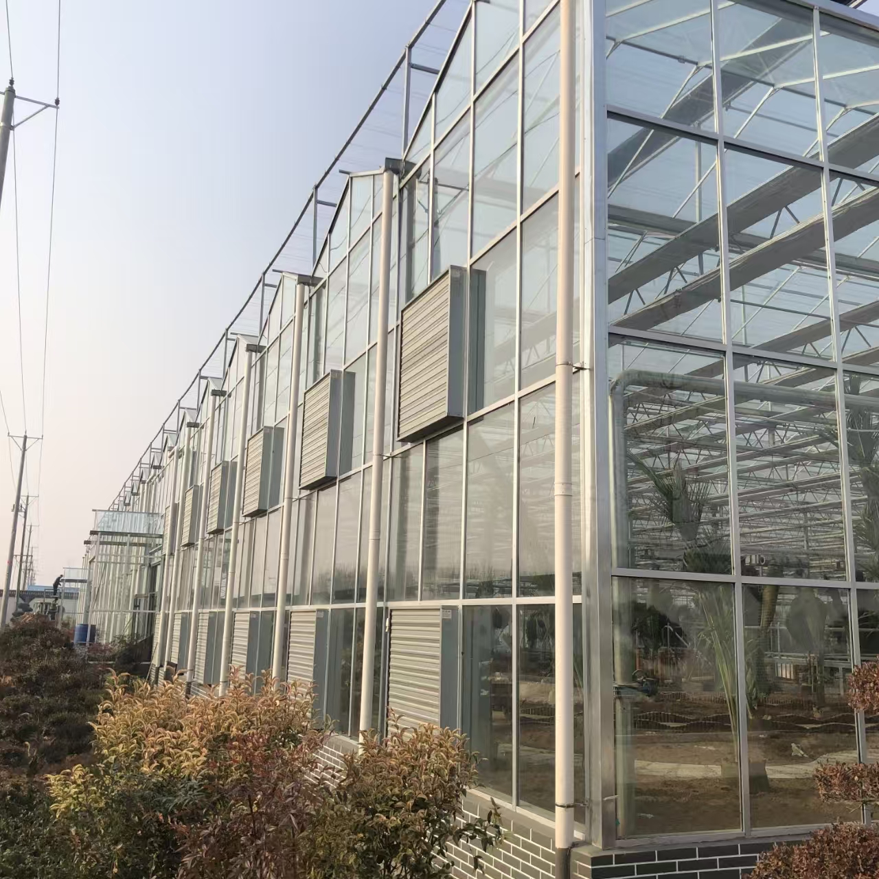 江苏8亩玻璃温室实战案例：低耗高产背后的造价密码