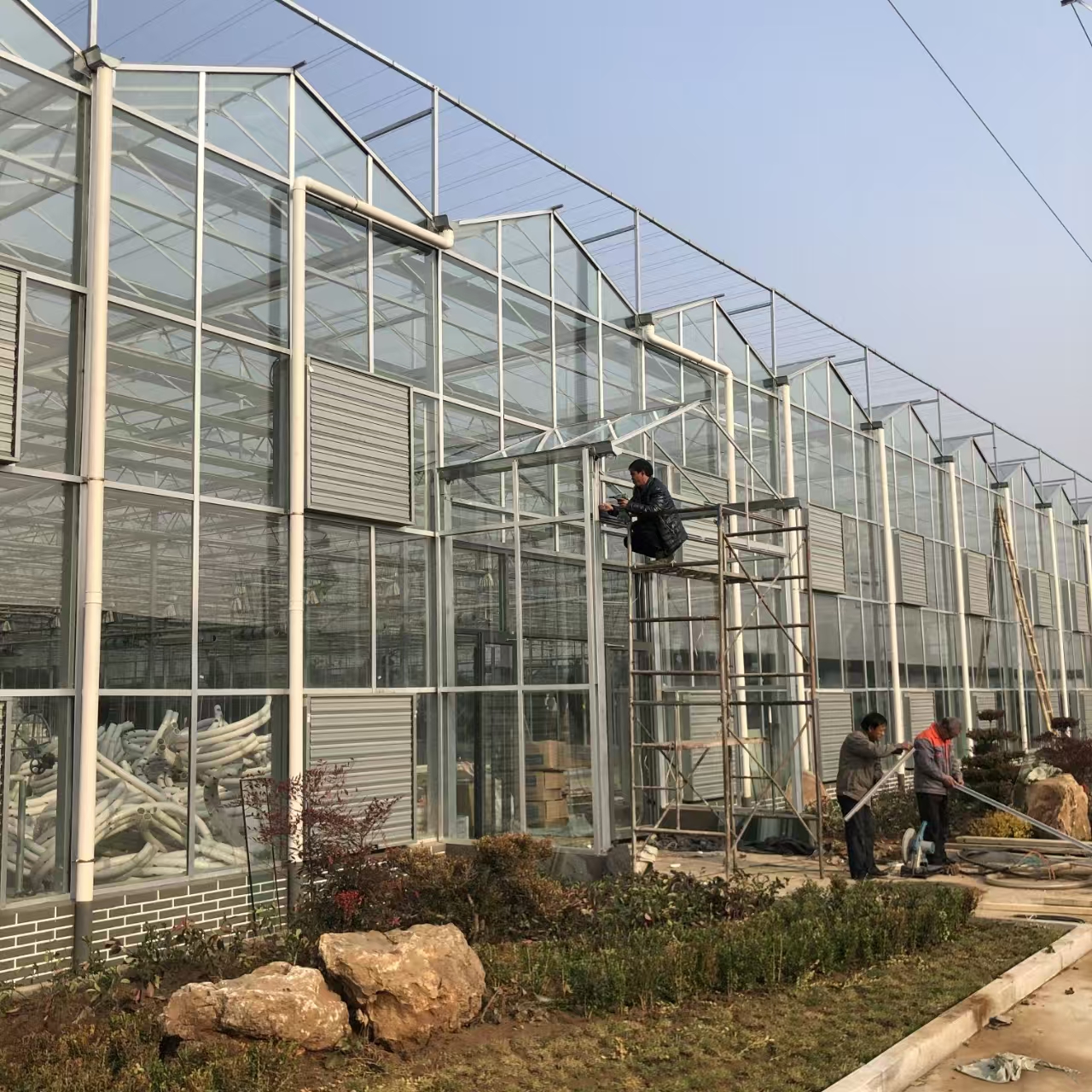 河南5亩玻璃温室落地实录：低投高产背后的技术账本