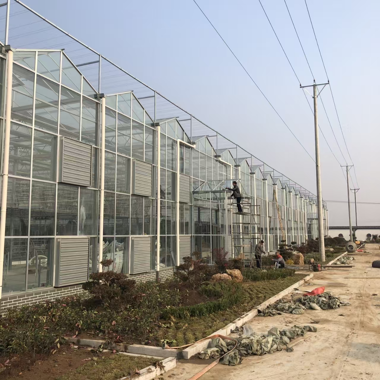 云南高原6亩玻璃温室实践：低纬度高收益的造价方程式