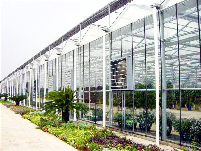 生态园玻璃温室建设