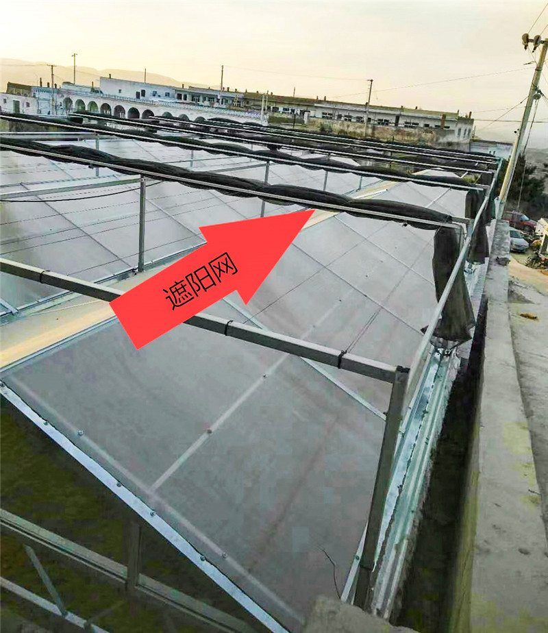 温室大棚内外遮阳系统