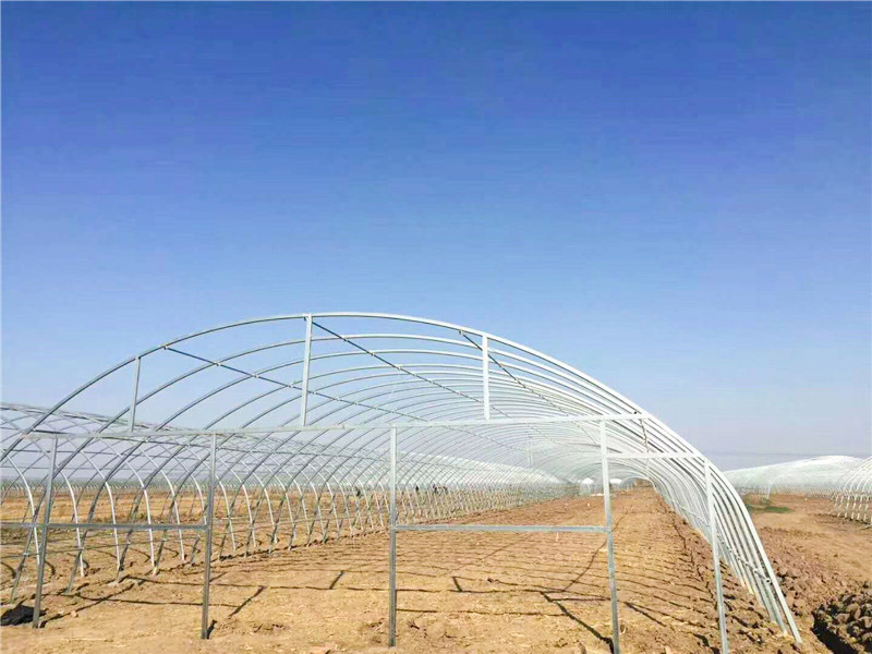 农业简易薄膜大棚