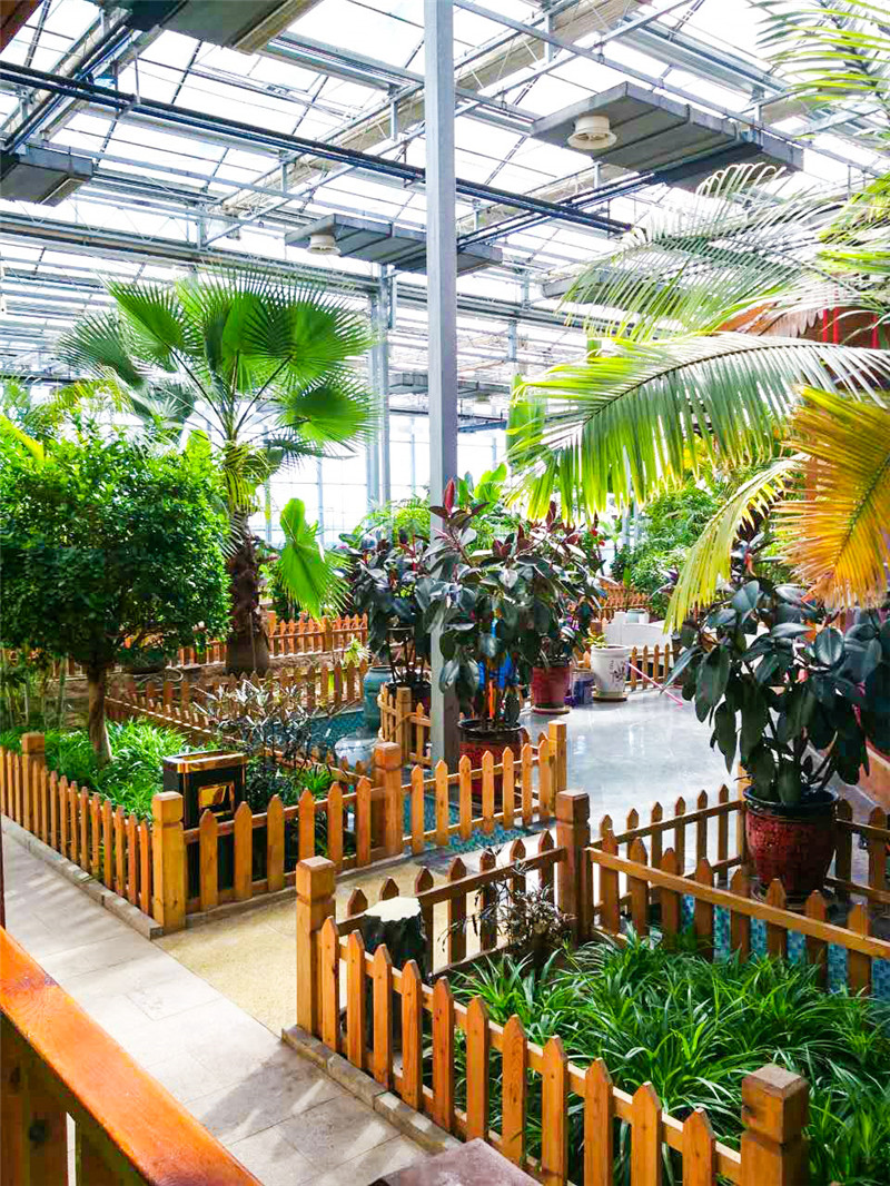 生态餐厅大棚建设