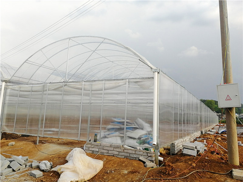 简易薄膜大棚