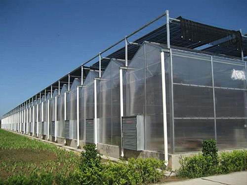 PC阳光板温室